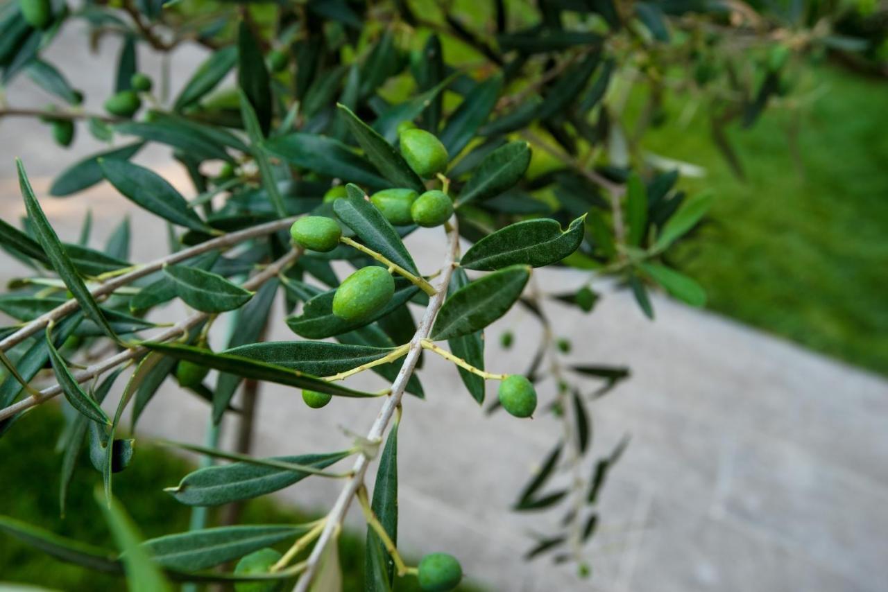 Olive 101 Apartamento Peraía Exterior foto